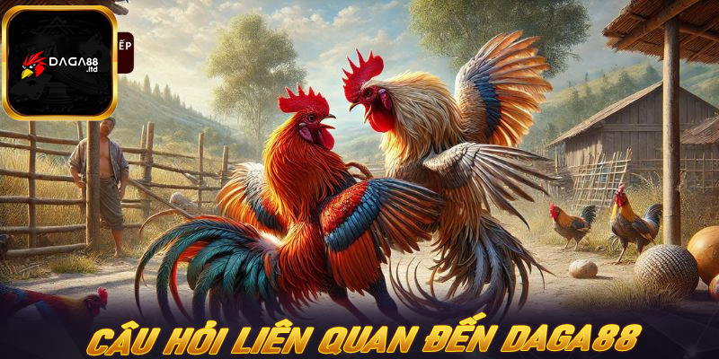 Câu hỏi thường gặp liên quan đến sàn cá cược daga88